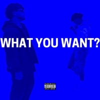 WHAT YOU WANT? - Single - !Aps! & NICO