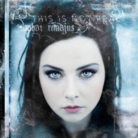 What Remains - This Is Not Real