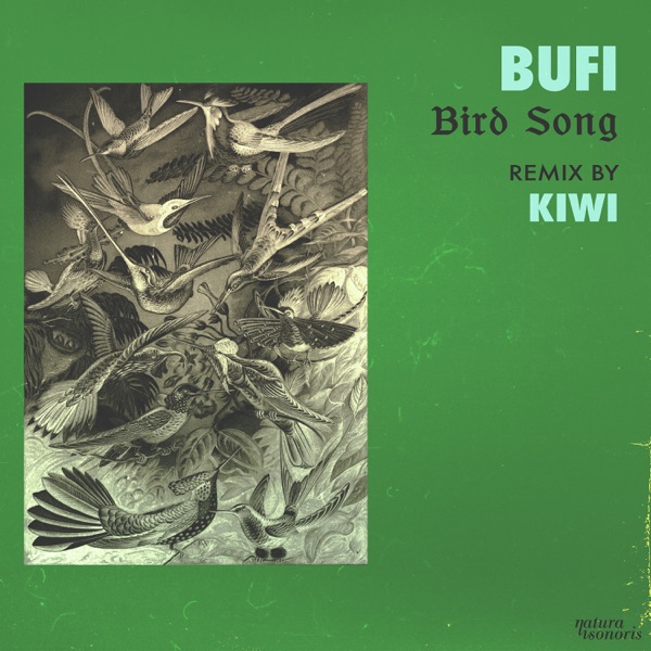 Bird Song - Single