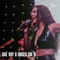 Qué Voy a Hacer Sin Ti - Single - Gaby Zambrano