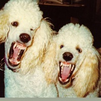 fetch - Single - kloud9inekali