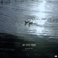 The Little Things - Single - nel & Arn
