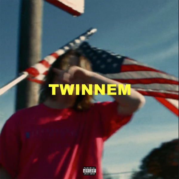 Twinnem