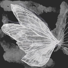 Gossamer (Vines version) Vines & ~Nois