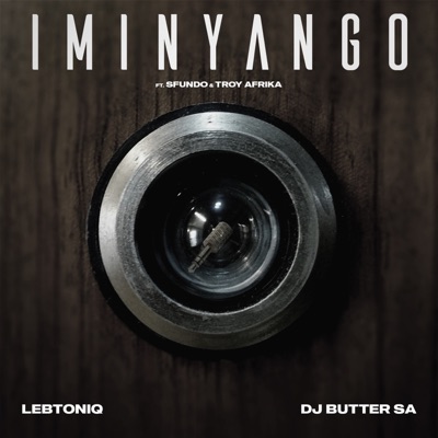 Iminyango (feat. Sfundo & Troy Africa) cover art