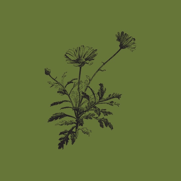 And One - Single