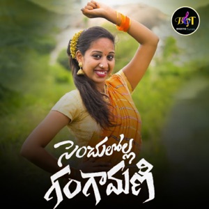 Senchalolla Gangamani (feat. Balu Paloji) [DJ Song]