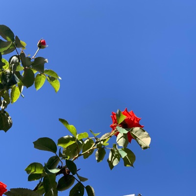 Dias de um Passado Futuro (feat. Claudio D2U) - Single