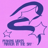 Mirror in the Sky artwork