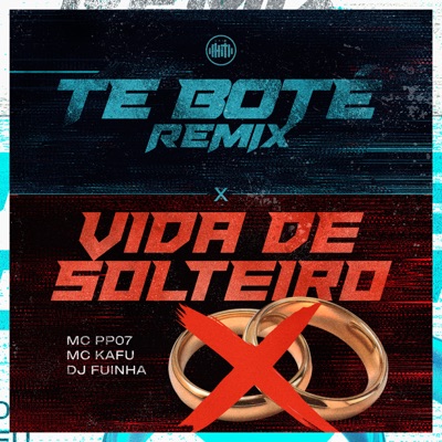 Te Boté Remix X Vida de Solteiro - Single
