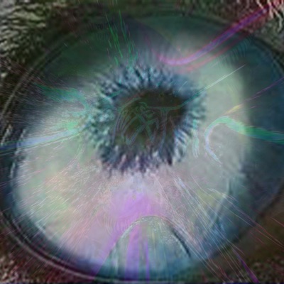 THE AVA ALLSPORES SHOW 3