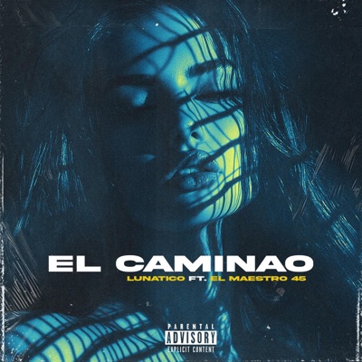 El Caminao (feat. El Maestro 45) - Single