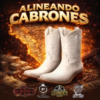 Alineando cabrones - Single - Isaac placencia ysus asignados, Dinastia de grandes, Los Del Septimo & Los Robiños de Sinaloa