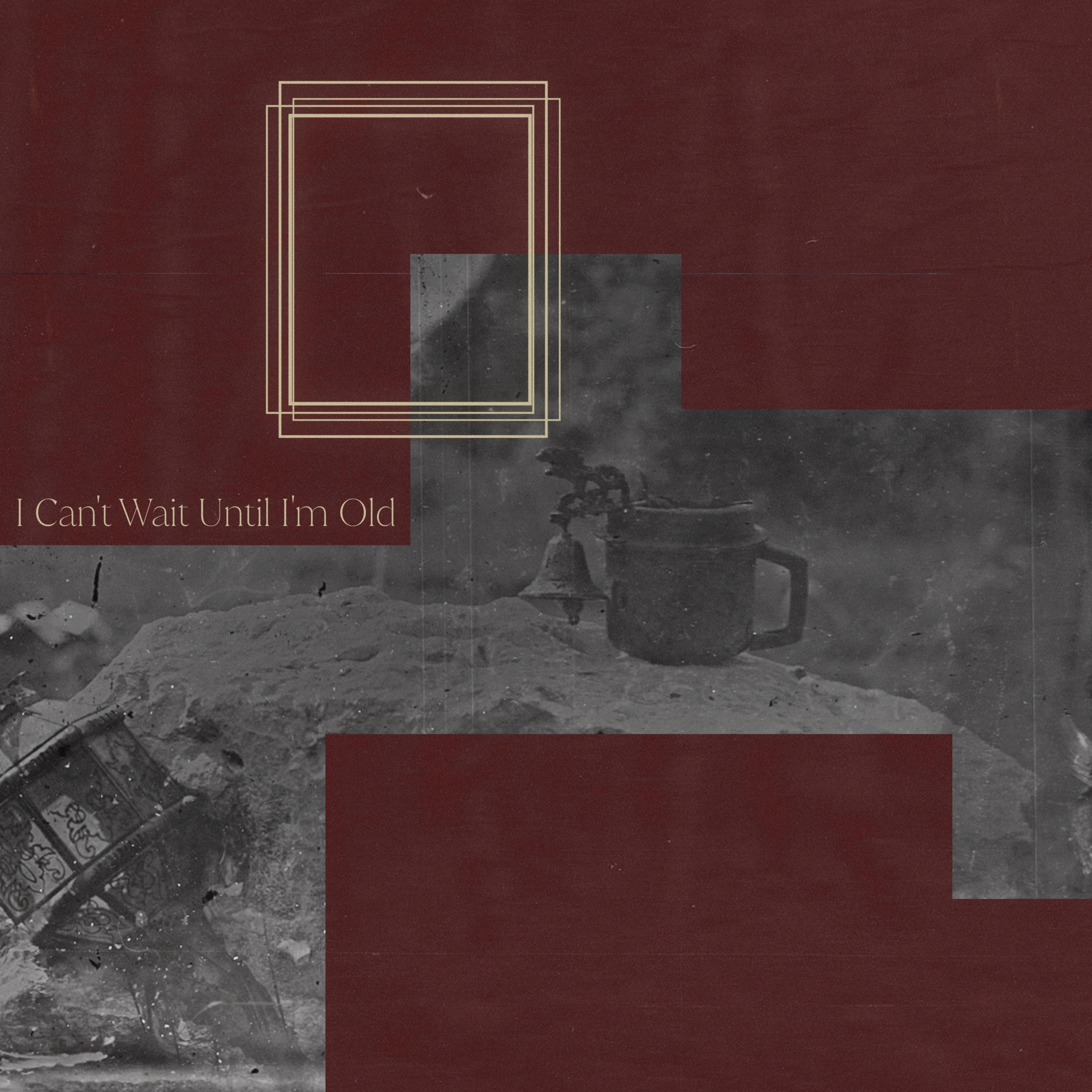 I Can't Wait Until I'm Old - Single