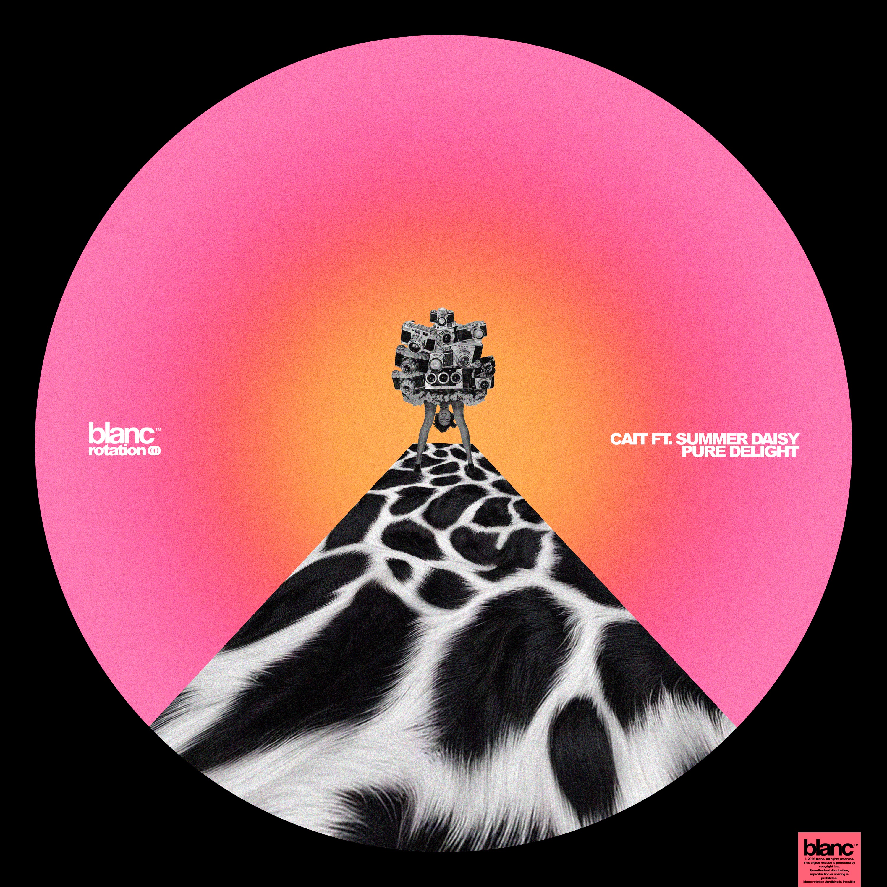 Pure Delight - Single