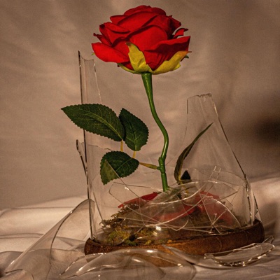 tale (as old as time) (feat. Sierra Milone, Aloeveria, Brennan Sodano & Shreyas Agnihotri) - Single