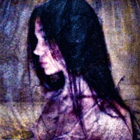 покажу - Single - DOFIN