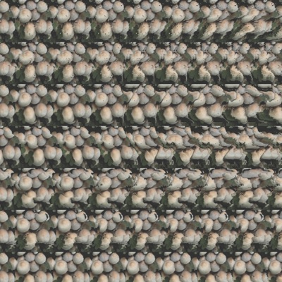 Flowers of Abundance (Ruby Fields Version) - Single