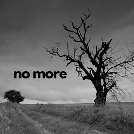 No More IDS