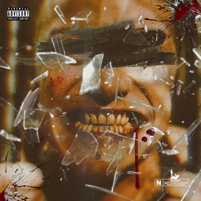 Nostalgic Noize & Nossworld Presents: Disambiguation