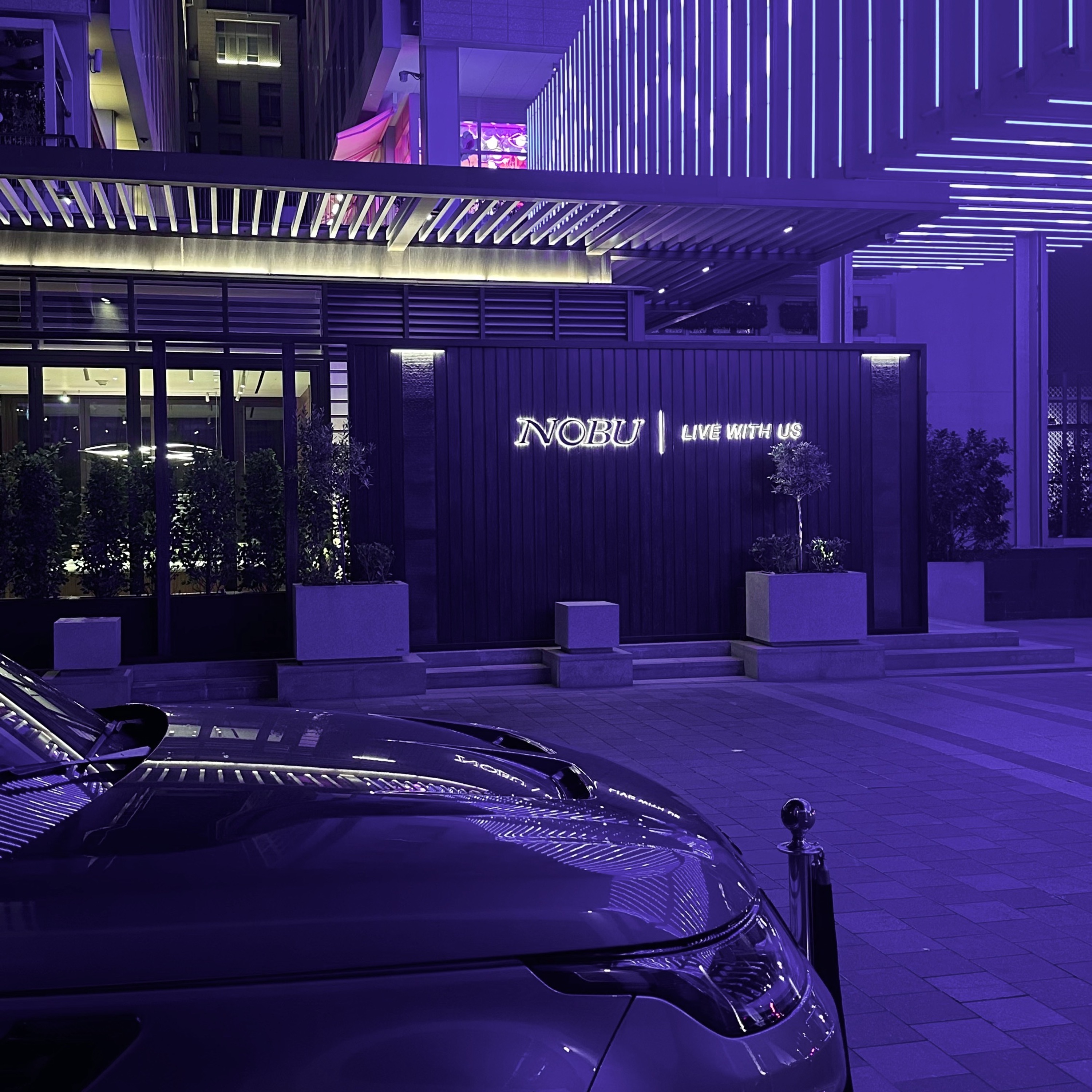 PURPLE REIGN - Single