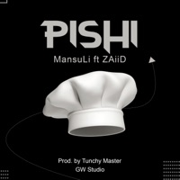 Pishi (feat. ZAiiD) - Single - MansuLi