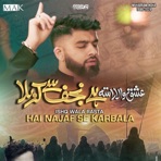 Najaf Se Karbala - Single