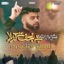 Najaf Se Karbala - Single
