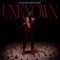 Unknown (Radio Edit) artwork