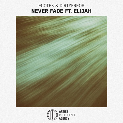 Never Fade (feat. Elijah) - Single