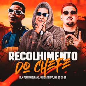 Recolhimento do Chefe (feat. Mc 2G Do SF)