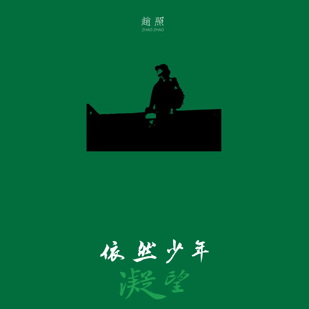 赵照 - 凝望-依然少年 - Single (2024) [iTunes Plus AAC M4A]-新房子