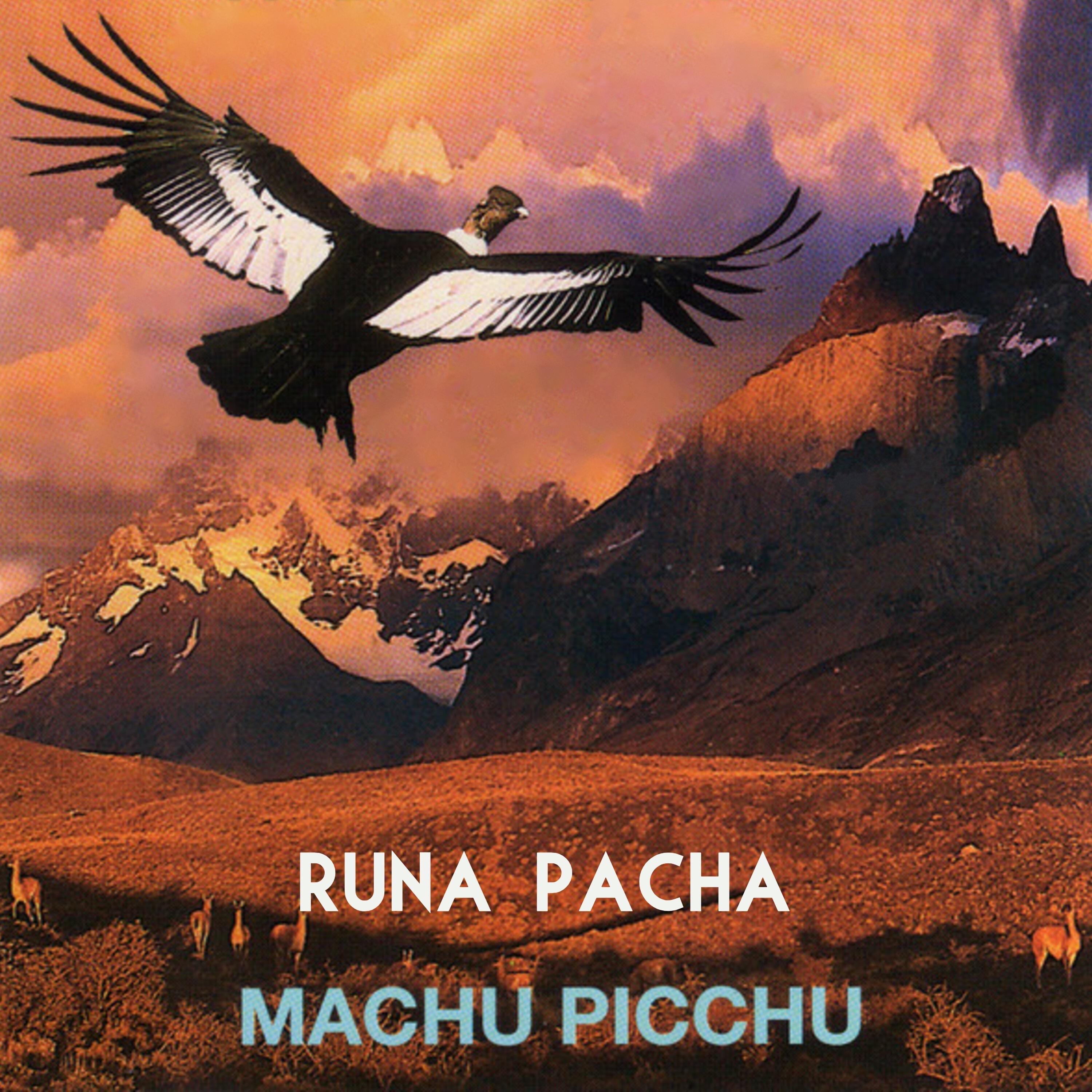 Runa Pacha