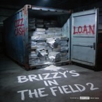 Brizzys In The Field 2 - Single