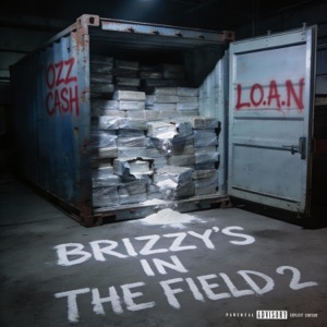 Brizzys In The Field 2 - Single