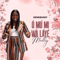 Ó mú mi wà láyè (Gratitude Medley) - Single - Kenebukky