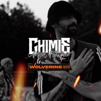 WOLVERINE Freestyle - Single - Chimie