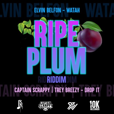 Ripe Plum Riddim (Drop It) - Single