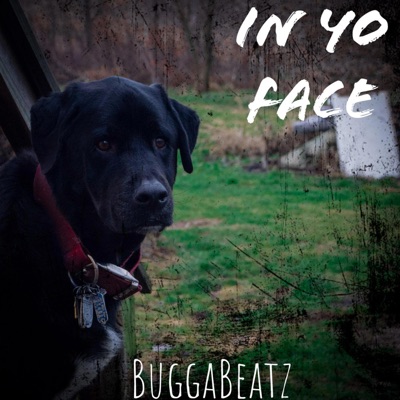 In Yo Face - Single