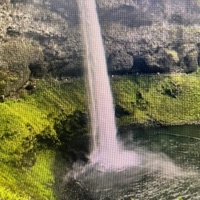 Waterfalls (feat. Charlotte Koomen, Sleep Therapy Radio & Elita Purcill) [The Veiled Creature Remix] - Single - randomsoundguy