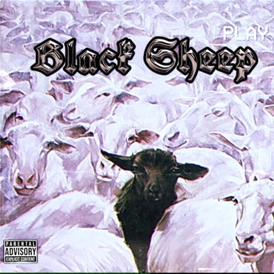 Black Sheep