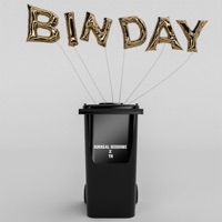 BINDAY (feat. Surreal Sessions) - Single - TH
