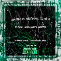 Montgem do Agudo Mal Teu Pó Vs Tá Soltinha Igual Arroz (feat. TRAJADÃO DOS BAILE & MC GW) - Single - DJ Vando Oficial