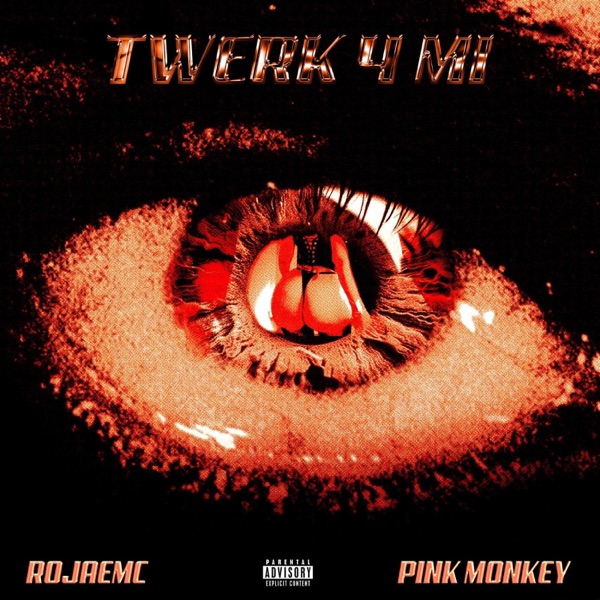 Twerk 4 Mi - Single