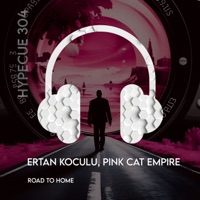 Road to Home - Single - Ertan Koculu & Pink Cat Empire