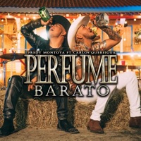 Perfume Barato - Single - Fredy Montoya & Carlos Quereigua