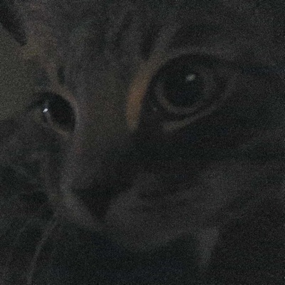 I don't like me too - Single