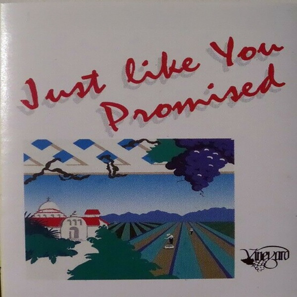Just Like You Promised You Are Here