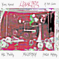 LOWLIFE (feat. A-RoN Gubbe, Shxpe Shifter, Hello Krissy, XOLOSTBOY & PUKECHAMBER) - Single - Yung Kanari