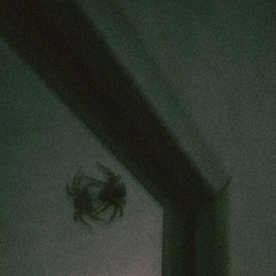 MarlboroRed (feat. Slain) - Single